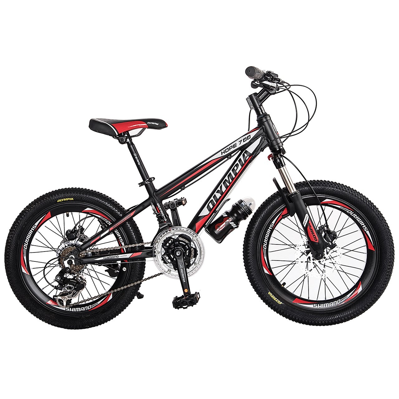 دوچرخه دنده ای