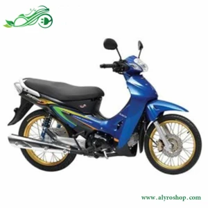 موتور سیکلت رادیسون کویر S1