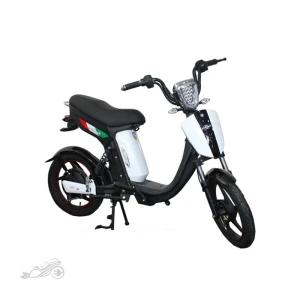 موتور برقی SK 500WB - اسکوتر برقی SK 500WB