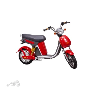 موتور برقی نینجا NIJIA