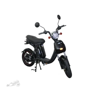 موتور برقی SK 500WA - اسکوتر برقی SK 500WA