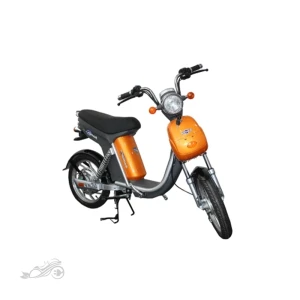 موتور برقی SK 800W