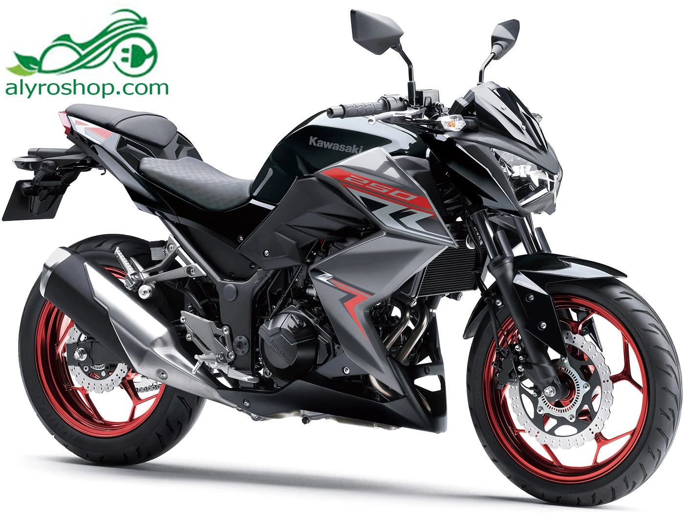 z-250cc-abs-z-250cc